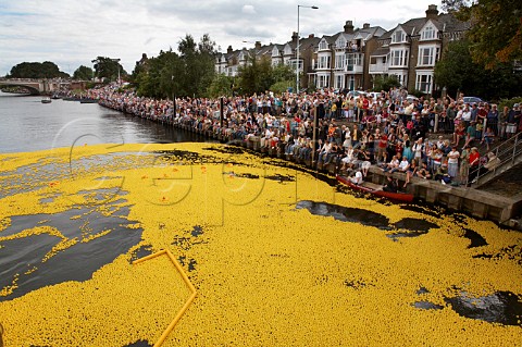 165000 plastic ducks start the Great British Duck Race 2007 and set a new Guinness World Record River Thames near Hampton Court Surrey England