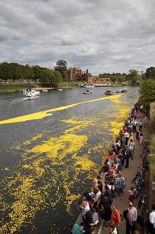 Some of the 165000 plastic ducks passing Hampton Court Palace on the River Thames during the Great British Duck Race 2007 a new Guinness World Record East Molesey Surrey England