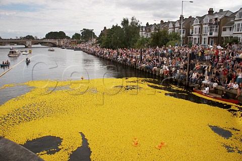 165000 plastic ducks start the Great British Duck Race 2007 from Molesey lock and set a new Guinness World Record as spectators line the river bank River Thames near Hampton Court Surrey England