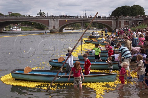 Children have fun as some of the 165000 plastic ducks get caught up around rowing boats near Hampton Court bridge on the River Thames during the Great British Duck Race 2007 a new Guinness World Record East Molesey Surrey England