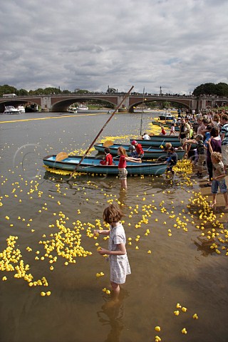 Children have fun as some of the 165000 plastic ducks get caught up around rowing boats near Hampton Court bridge on the River Thames during the Great British Duck Race 2007 a new Guinness World Record East Molesey Surrey England