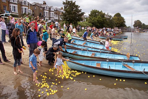 Some of the 165000 plastic ducks get caught up around rowing boats near Hampton Court bridge on the River Thames during the Great British Duck Race 2007 a new Guinness World Record East Molesey Surrey England