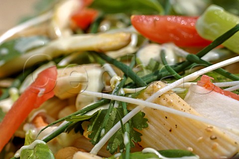 Pepper and pasta salad