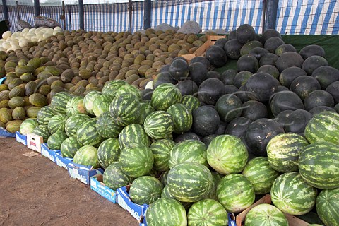 Melons for sale on roadside stall Portugal