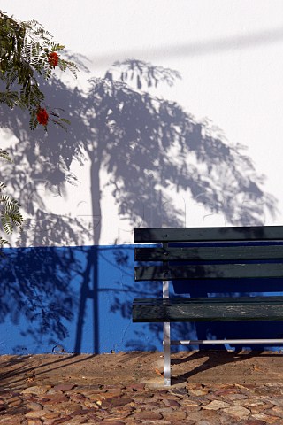 Tree shadow on wall by bench Almograve Odemira Portugal