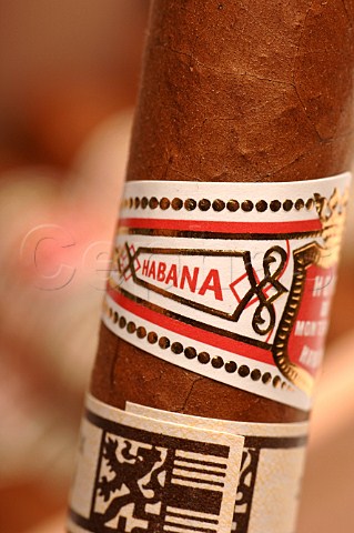 Closeup of band on Hoyo de Monterrey cigar Havana Cuba