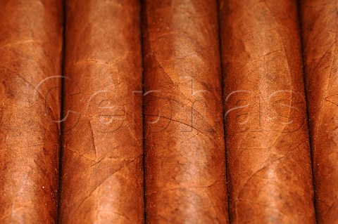 Closeup of box of Montecristo Edmundo cigars Havana Cuba