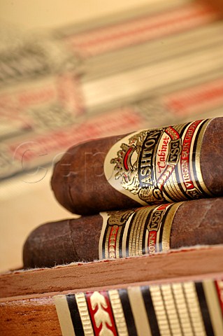 Closeup of Ashton Virgin Sun Grown Robusto cigars Dominican Republic