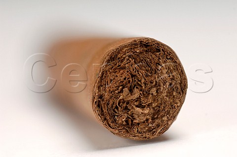 Closeup of cigar end