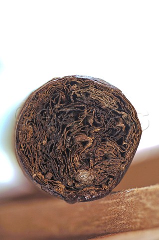 Closeup of cigar end