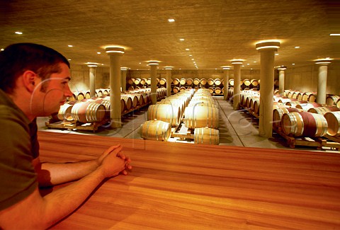 Neumeister Winery Straden Christoph Neumeister overlooks the new barrique cellar Austria Styria