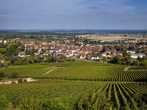 Vineyards above the village of Buxy SaneetLoire France  Montagny  Cte Chalonnaise