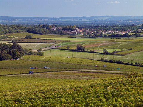 Harvesting in vineyards near Buxy with village of JullylsBuxy beyond SaneetLoire France Montagny  Cte Chalonnaise