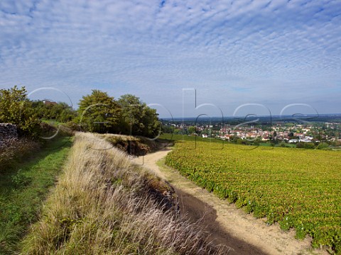 Vineyards above village of Buxy SaneetLoire France  Montagny  Cte Chalonnaise