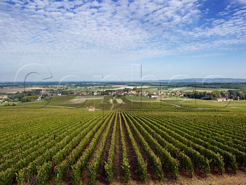 View over vineyards to Chenevelles near Buxy SaneetLoire France  Montagny  Cte Chalonnaise