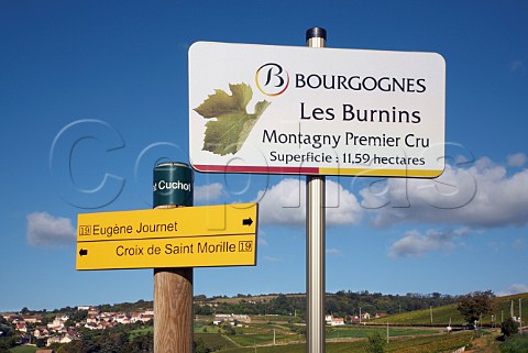 Signs in Les Burnins vineyard at MontagnylsBuxy SaneetLoire France Montagny  Cte Chalonnaise