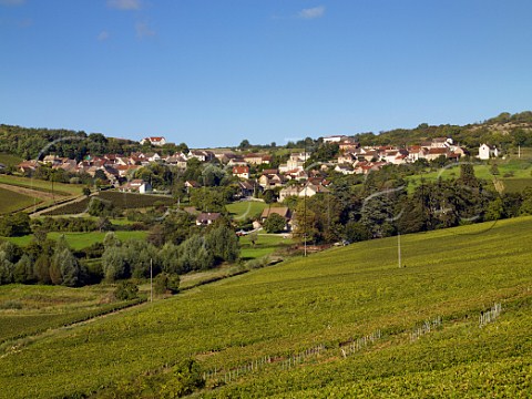 MontagnylsBuxy viewed over Les Burnins vineyard SaneetLoire France Montagny  Cte Chalonnaise
