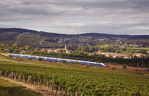 Train on TGV line by vineyards at Priss near Mcon SaneetLoire France  StVran  Mconnais