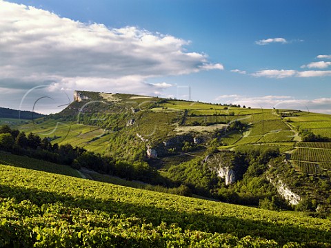 Chardonnay vineyards around the rock of Vergisson SaneetLoire France  PouillyFuiss  Mconnais