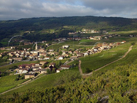 Village of Vergisson amidst its chardonnay vineyards SaneetLoire France  PouillyFuiss  Mconnais