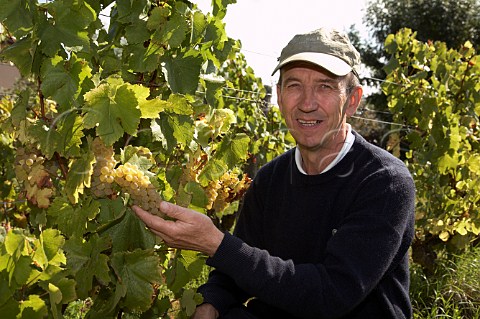 Jean Thvenet in old chardonnay vineyard of Domaine de la Bongran in Quintaine near Cless SaneetLoire France MconCless  Mconnais