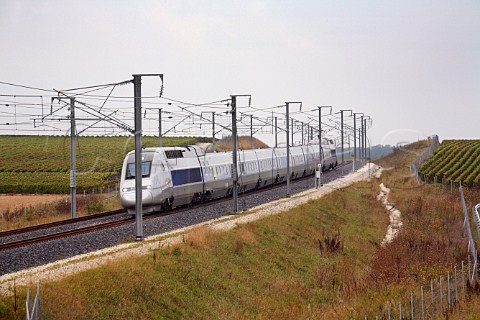 Train on the Paris to Strasbourg TGV line passing vineyards to the southeast of Reims Marne France Champagne