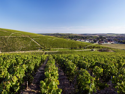 Valmur vineyard viewed from Grenouilles above town of Chablis Yonne France  Chablis Grand Cru