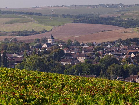 Outskirts of Chablis and StPierre church viewed from Les Clos vineyard Yonne France Chablis Grand Cru
