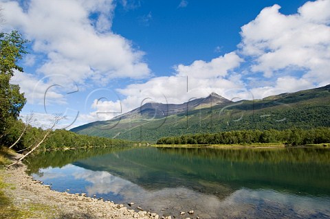 Bardu River northern Norway