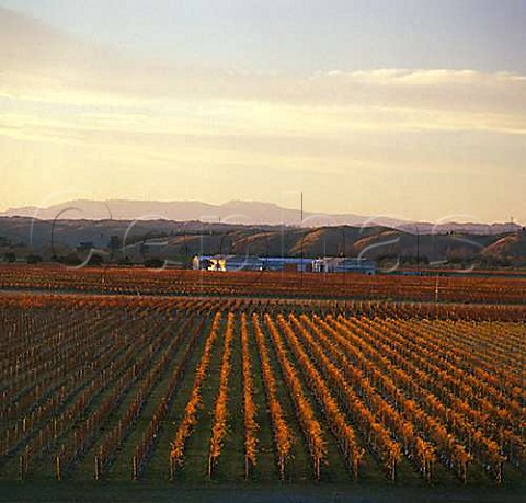 Craggy Range Highway 50 winery in the Gimblett Gravels subregion near Hastings New Zealand Hawkes Bay