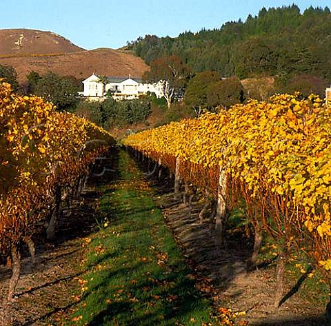 The historic seminary building of Mission Estate viewed over autumnal vineyard Taradale New Zealand Hawkes Bay
