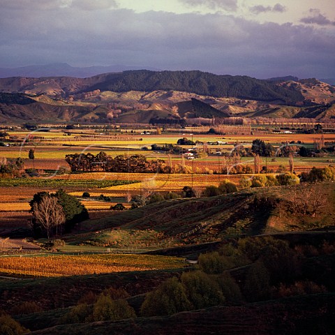 Waihirere and the northern Poverty Bay Plains viewed from the Hexton Hills Gisborne New Zealand