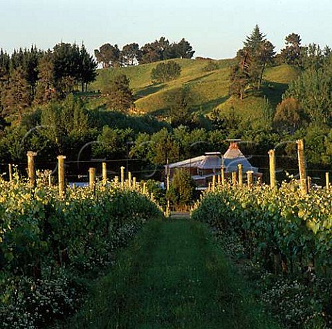 Vineyard of Kahurangi Estate with a neighbours old hop kiln beyond  Upper Moutere New Zealand Nelson