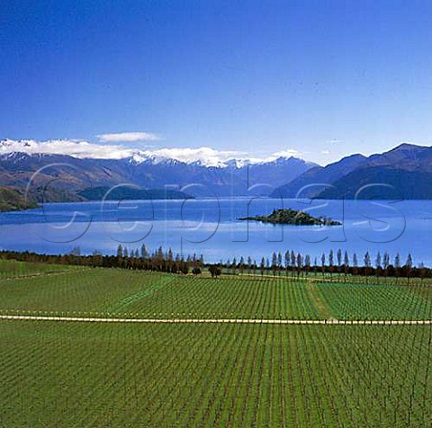 Winter at Rippon Vineyard on Lake Wanaka with the Buchanan Mountains beyond Wanaka Central Otago New Zealand