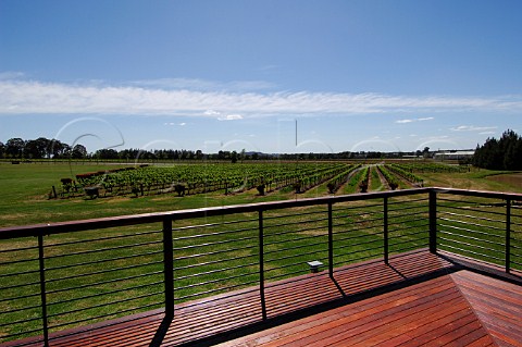 Terrace and vineyard at Petersons Champagne House Pokolbin Lower Hunter Valley New South Wales Australia
