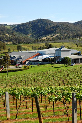 Vineyard and winery Lindemans Pokolbin Lower Hunter Valley New South Wales Australia