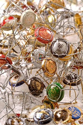 Sparkling wine wire cages