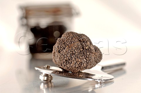 Truffle with shaver