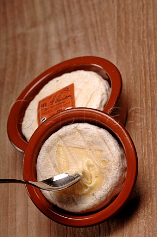 St Flicien soft cheese from the RhneAlpes France