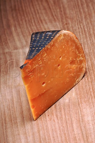 Wedge of Old Reypenaer cheese
