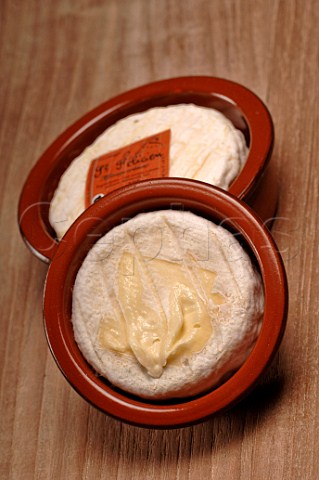 StFlicien soft cheese from the RhneAlpes France