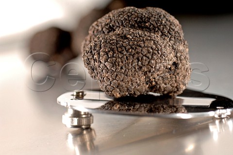 Black truffle with shaver