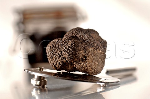 Black truffle with shaver