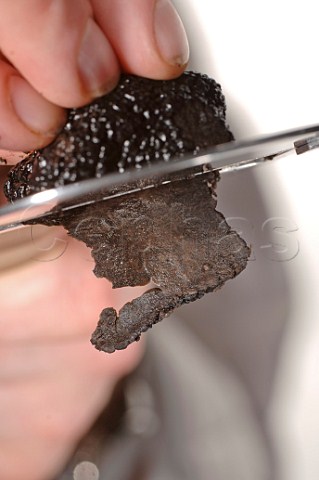 Shaving a black truffle