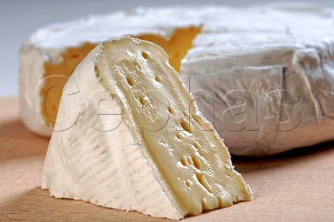 Wedge of Coulommiers cheese
