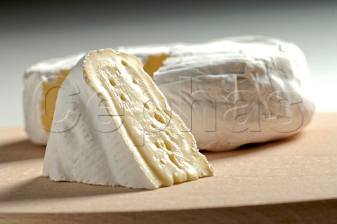 Wedge of Coulommiers cheese