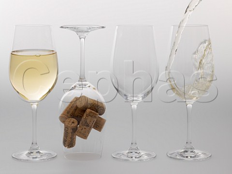 4 Riedel wine glasses pouring white wine