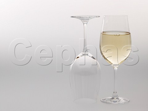 2 Riedel glasses with white wine