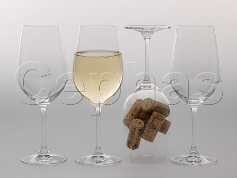 4 Riedel glasses with white wine and corks