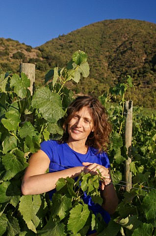 Ana Maria Cumsille head winemaker at Altair winery Cachapoal Chile